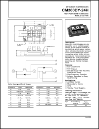 CM300DY-24H datasheet: 300 Amp IGBT module for high power switching use insulated type CM300DY-24H