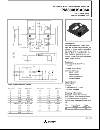 PM800HSA060 datasheet: 800 Amp intelligent power module for flat-base type insulated package PM800HSA060