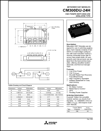 CM300DU-24H datasheet: 300 Amp IGBT module for high power switching use insolated type CM300DU-24H