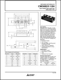 CM300DY-12H datasheet: 300 Amp IGBT module for high power switching use insulated type CM300DY-12H