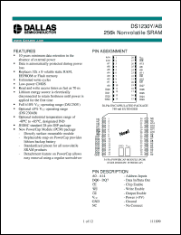 DS1230Y-100 datasheet: 256K Nonvolatile SRAM DS1230Y-100